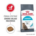 ROYAL CANIN FCN Urinary Care - sucha karma dla kota dorosłego - 10 kg