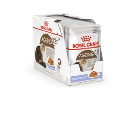 ROYAL CANIN FHN Ageing 12+ w galaretce - mokra karma dla kota starszego - 12x85g