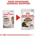 ROYAL CANIN FHN Ageing 12+ w galaretce - mokra karma dla kota starszego - 12x85g