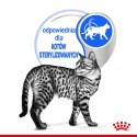 ROYAL CANIN FHN Indoor w galaretce - mokra karma dla kota dorosłego - 12x85 g