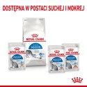 ROYAL CANIN FHN Indoor w galaretce - mokra karma dla kota dorosłego - 12x85 g