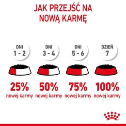 ROYAL CANIN FHN Kitten Sterilised w sosie - mokra karma dla kociąt - 12x85 g