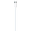 Apple USB-C to Lightning Cable (2 m)