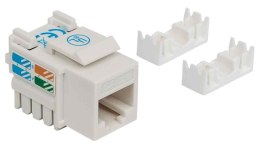 INTELLINET MODUŁ KEYSTONE RJ45 UTP CAT5E BIAŁY PUN