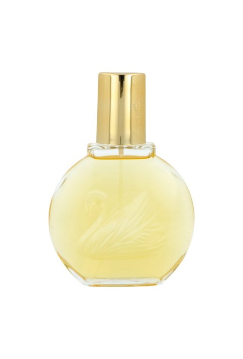 Gloria Vanderbilt Vanderbilt Edt 100ml