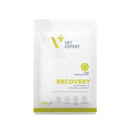 VetExpert Veterinary Diet Recovery Cat 100g Pouch