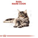 ROYAL CANIN FBN Maine Coon 12x85g