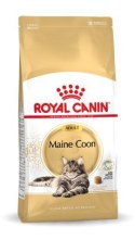 ROYAL CANIN FBN Maine Coon Adult - sucha karma dla dorosłego kota - 10kg