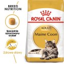 ROYAL CANIN FBN Maine Coon Adult - sucha karma dla dorosłego kota - 10kg