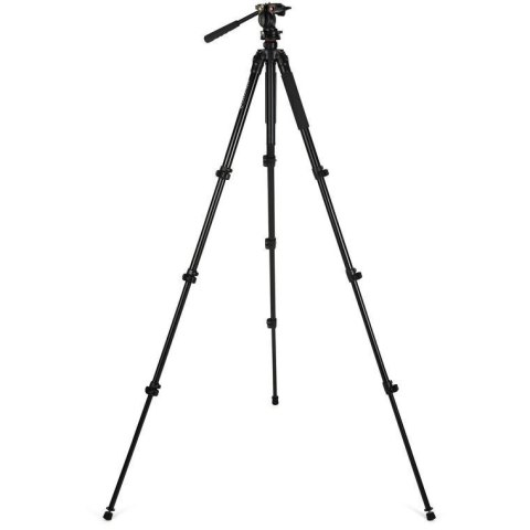 Celestron 82052 statyw Uniwersalne 3 x noga Czarny