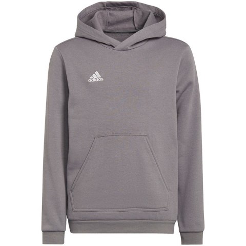 Bluza dla dzieci adidas Entrada 22 Hoody szara H57515 116cm