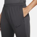 Spodnie damskie Nike Dri-FIT Academy szare CV2665 060 L